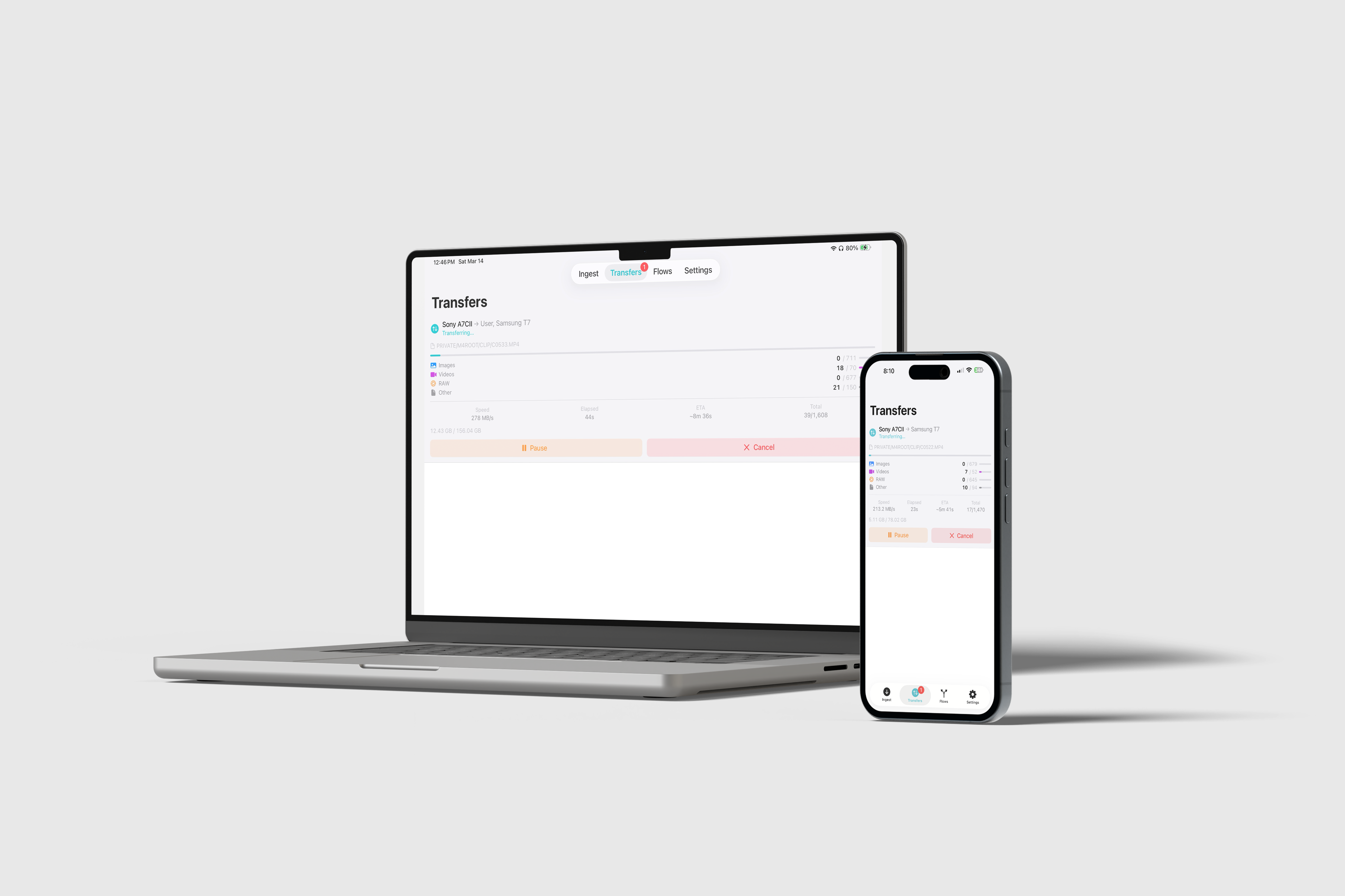 Transfer in Progress